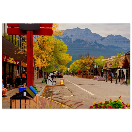 55bce9ce-198e-451b-87ec-59870d132d2f