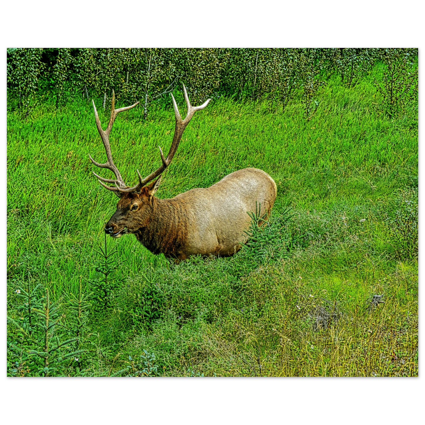 55be9512-2d84-4a5a-b303-64b427be39a0