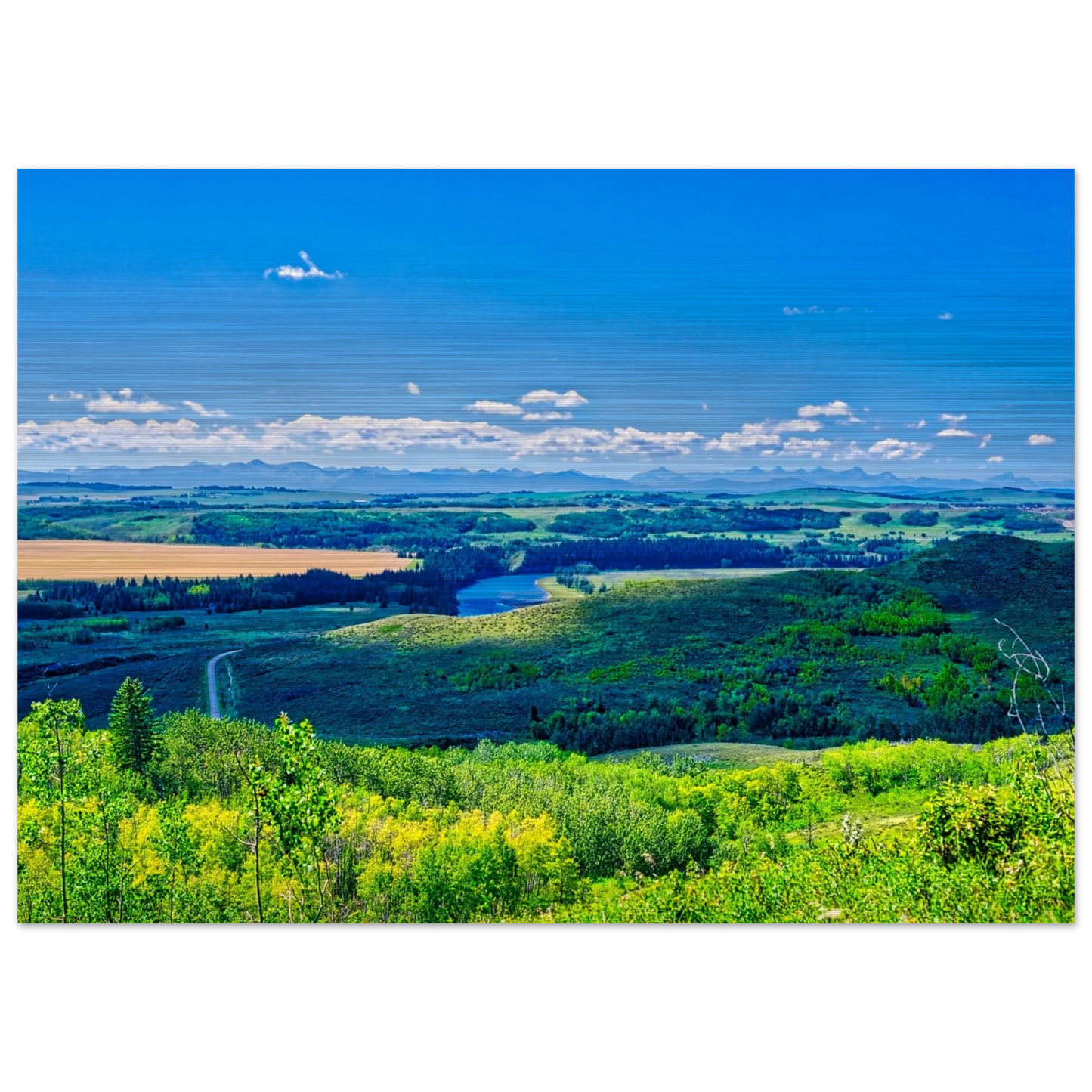 55fed0fb-d450-493a-93ac-15a9aca305d6