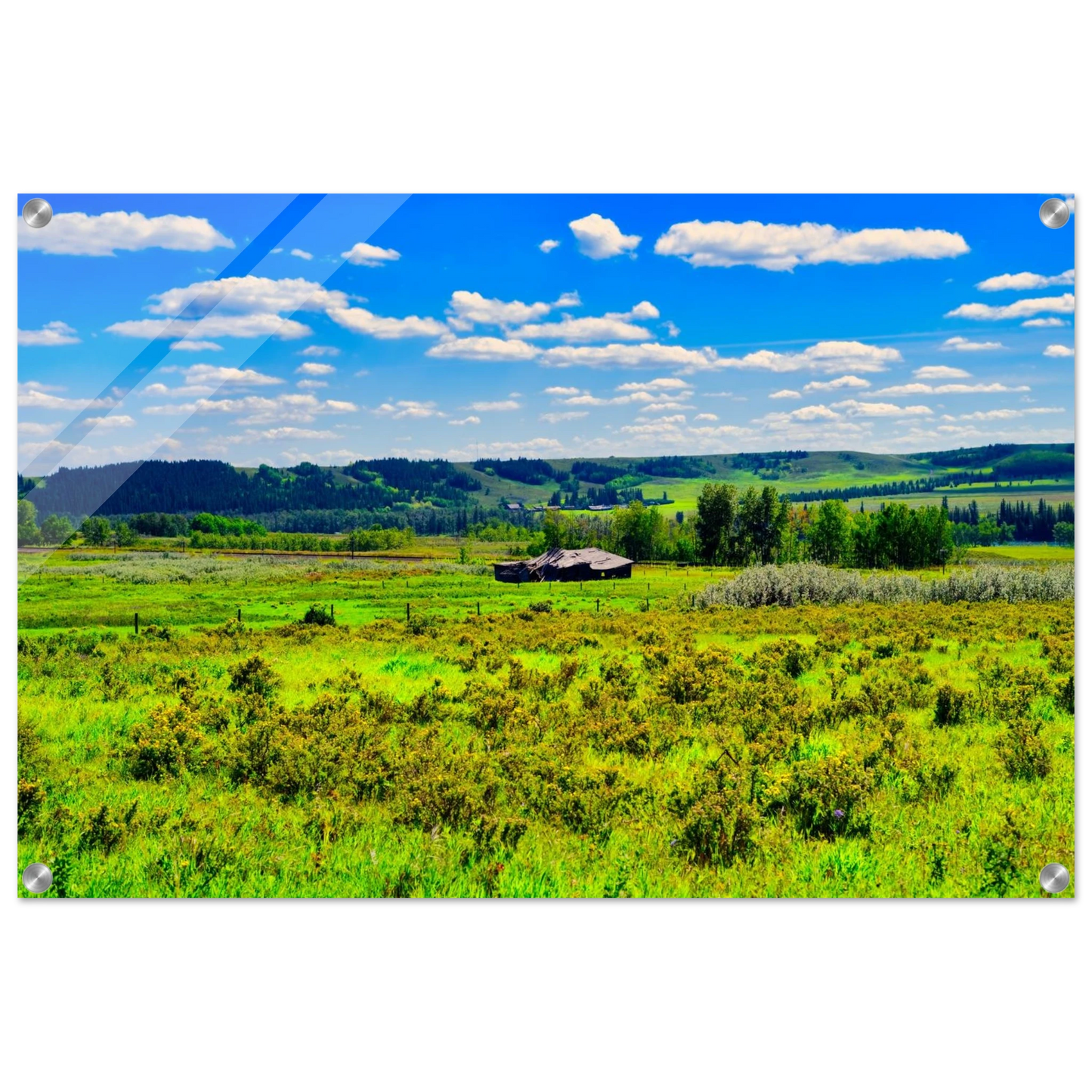 5776a938-d142-4493-b9da-a78bb0c8feb0