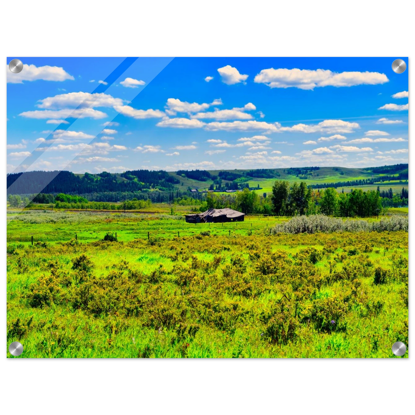 57d4030a-720f-4efd-8729-d9800abcc0a1