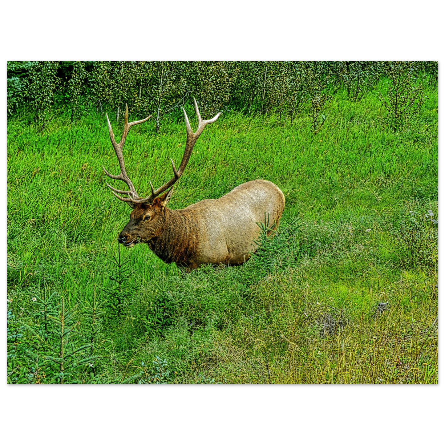 58033655-ad1b-4fda-8af1-a0d33baebcb8