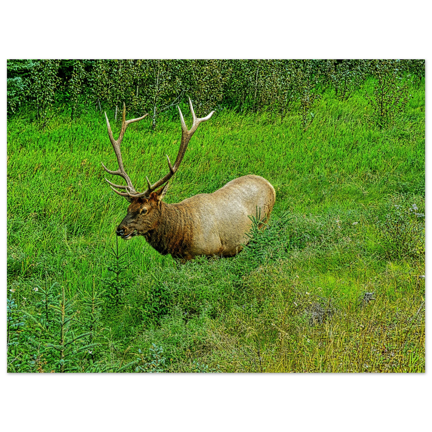 5905ad33-c5ff-474c-9f2f-028884f5ab17