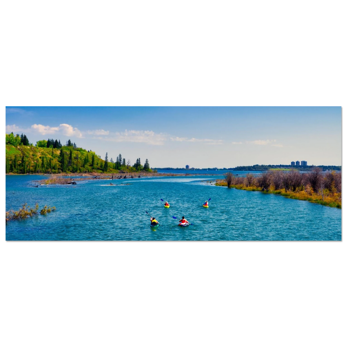 5ab6e810-54c5-47be-952d-c1a035c042db