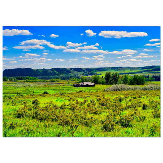 5ad6317d-7671-4bcf-a990-3927b02e01df