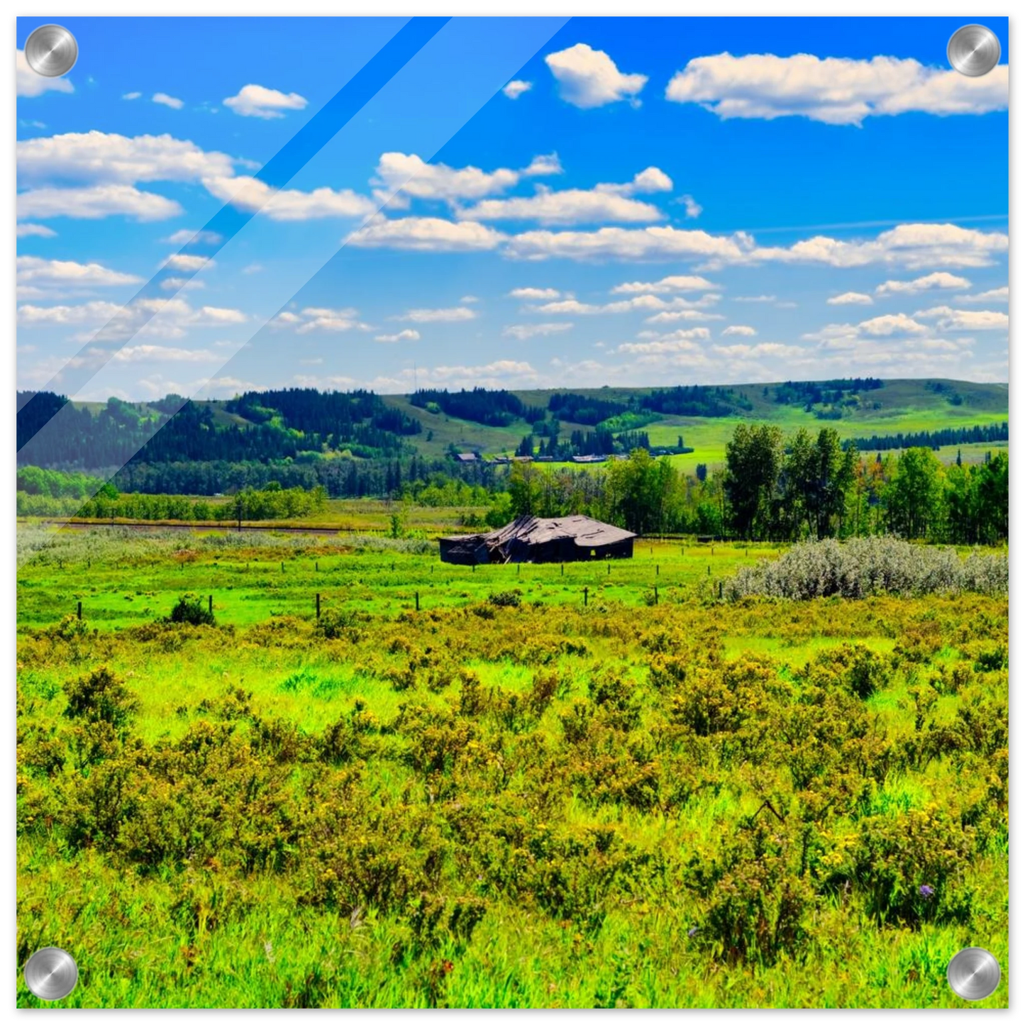 5cbd729c-fad7-413e-b632-2f6abd925c0e