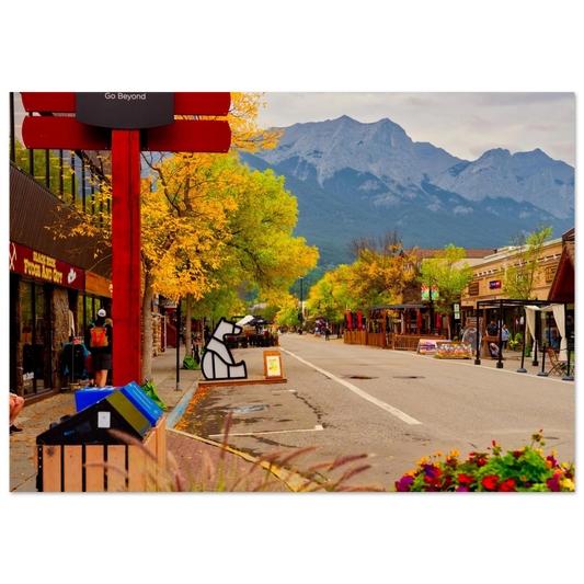 66919ac9-c91f-445f-94db-799796fb4847