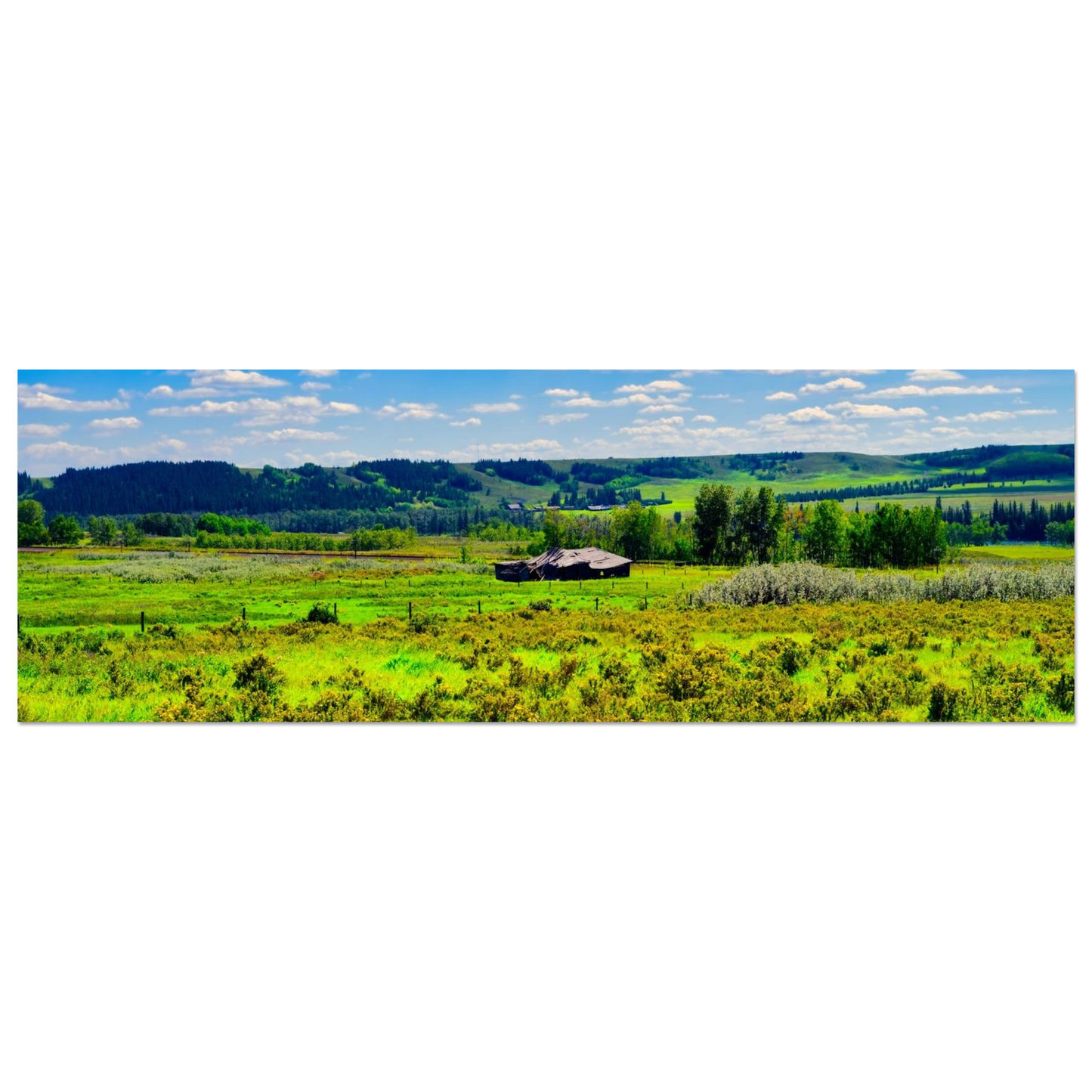 66a84526-f169-4049-a40c-00cbbda7387b