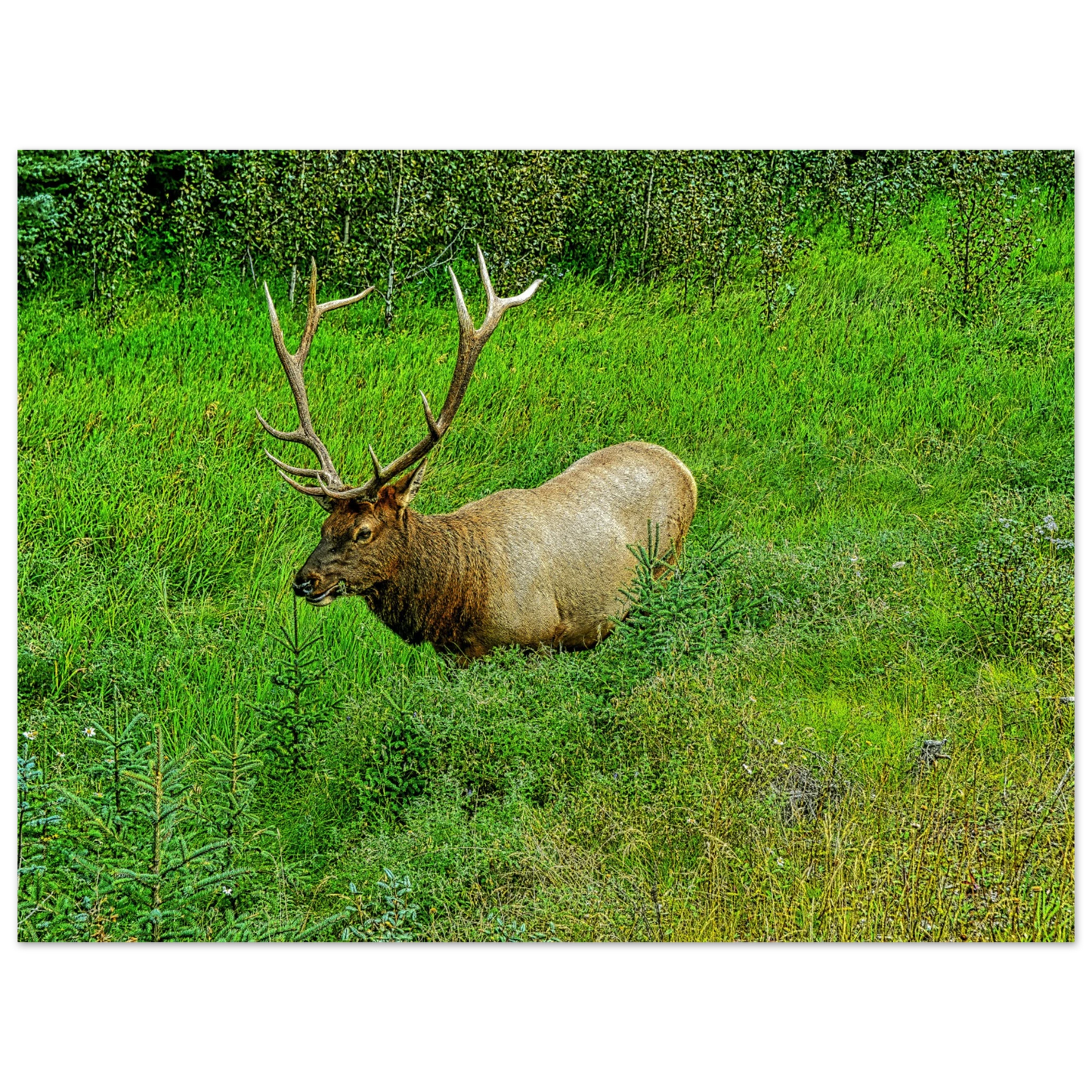 67301224-3c2a-4efd-88f5-3f90acaf88d9