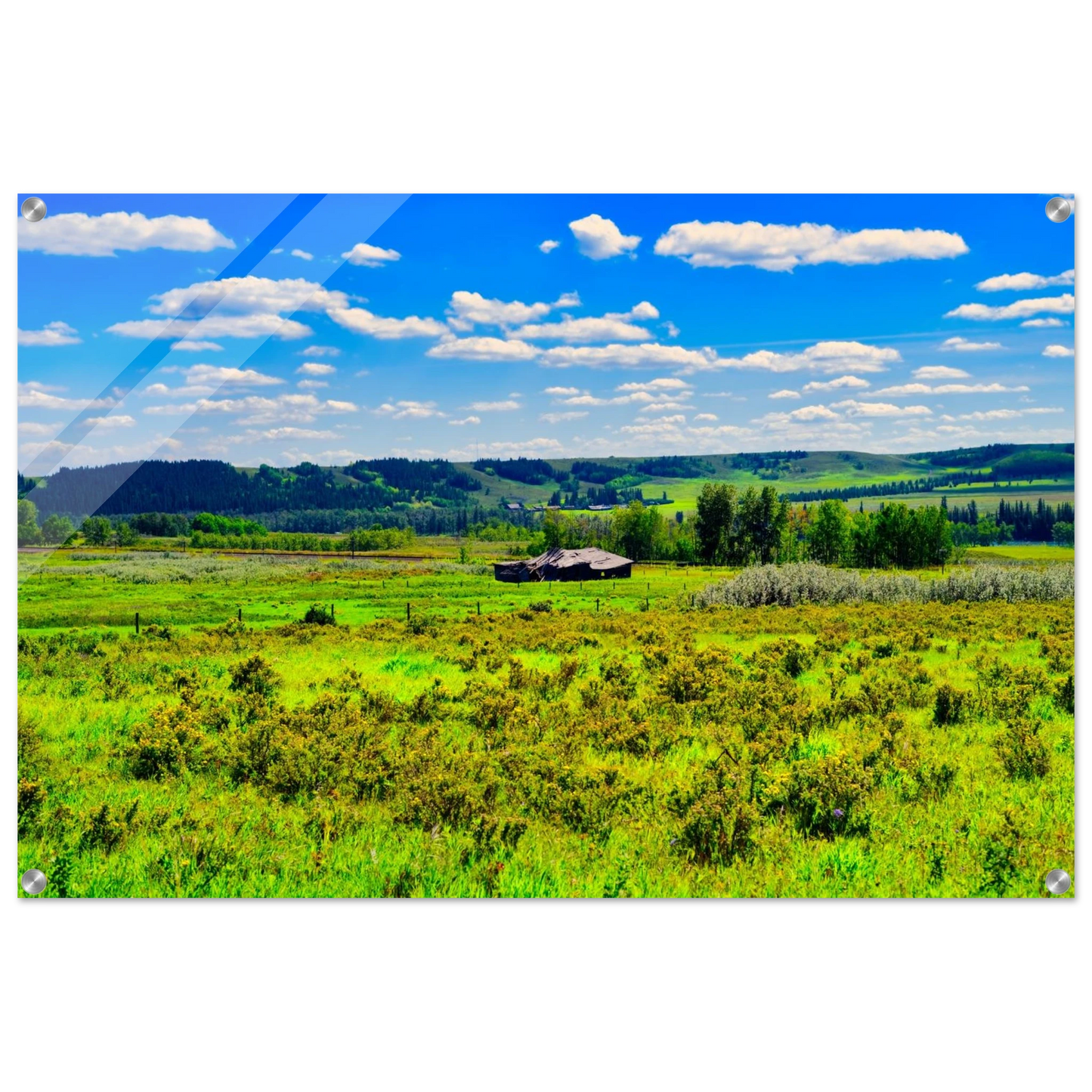 681d1284-43b8-47ff-82ba-8ede3531baf2