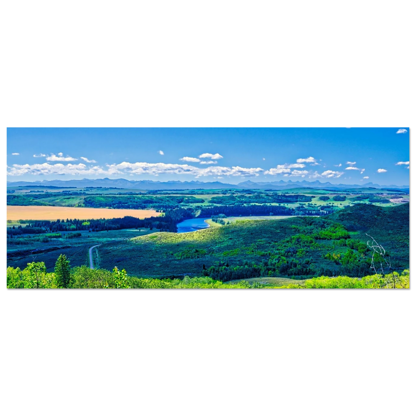 69d49e03-4432-4f69-a22a-edd74717f5a5