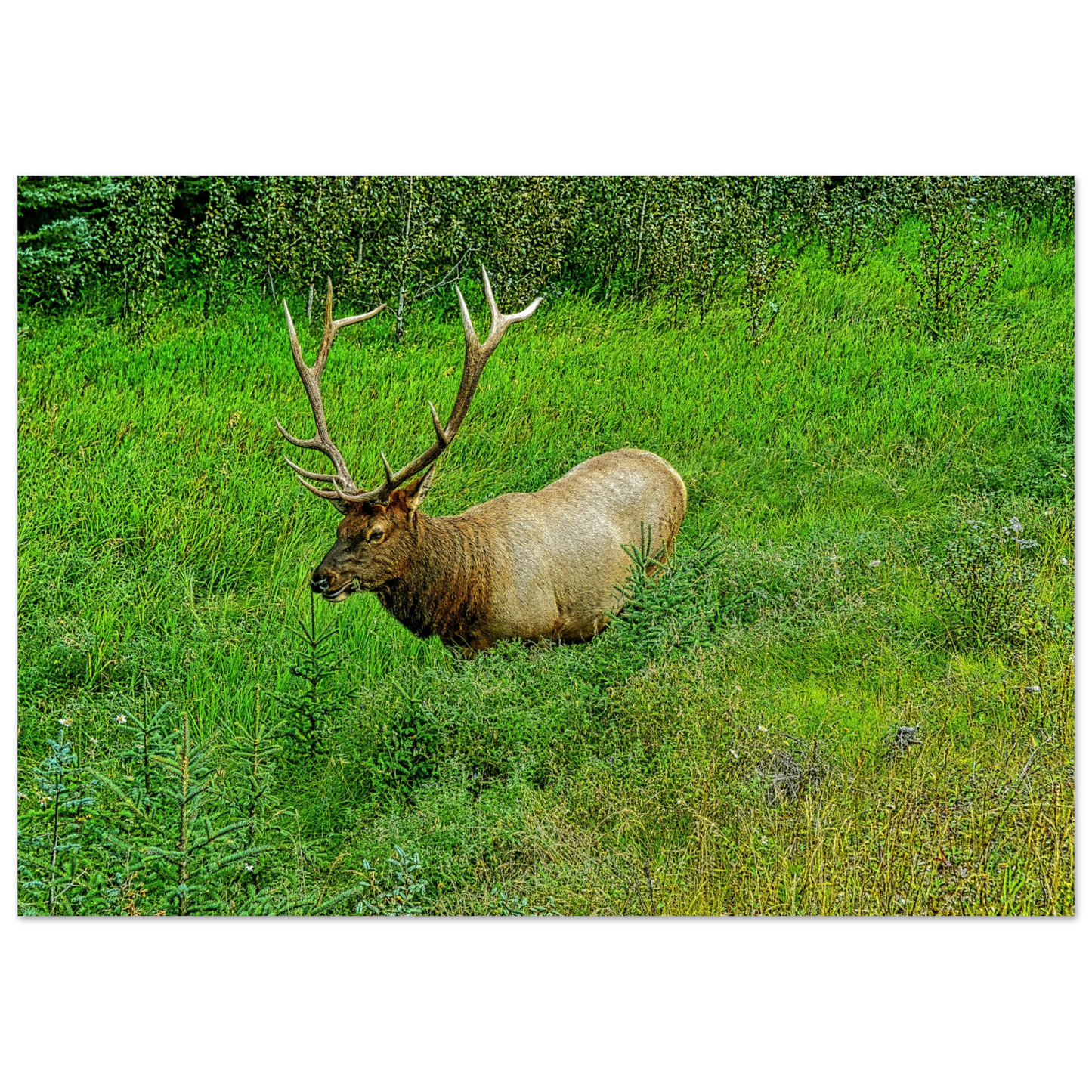 6ac19e03-d0a0-43da-83ae-0fefc3edabc1