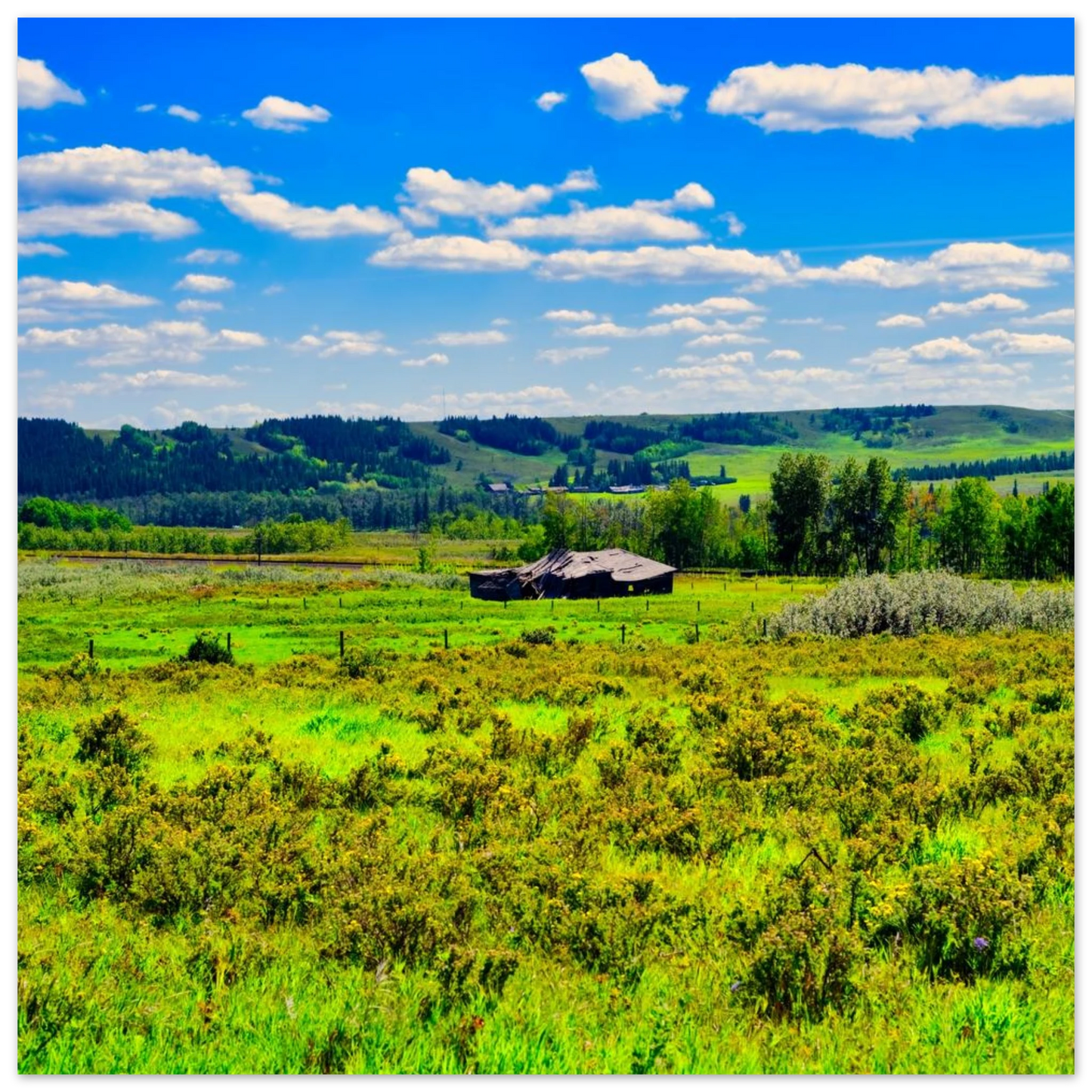 6c09e587-dd93-4caa-ba71-15b5f2ce3621