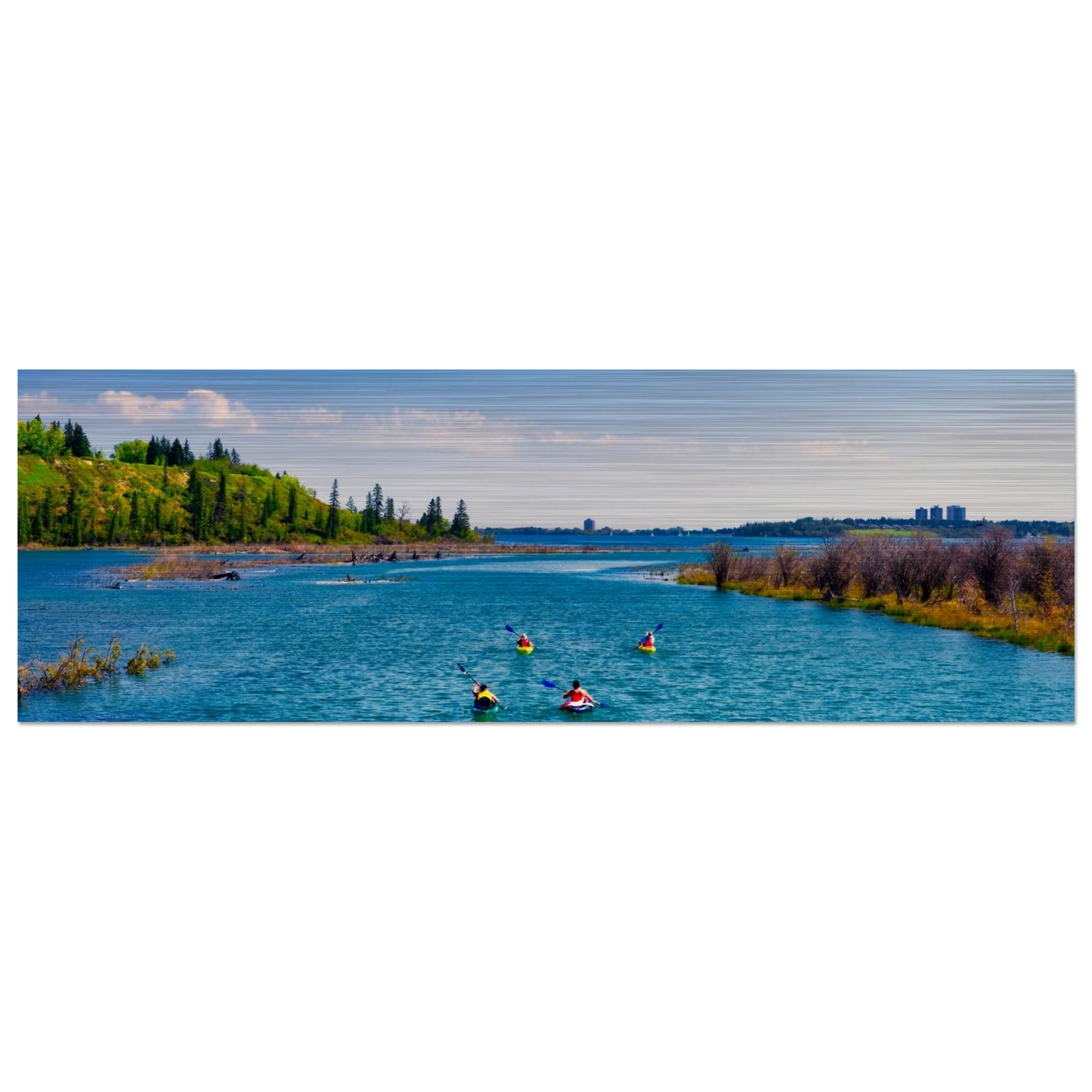 6d5017ab-aff5-4746-b59e-efe0907b0119