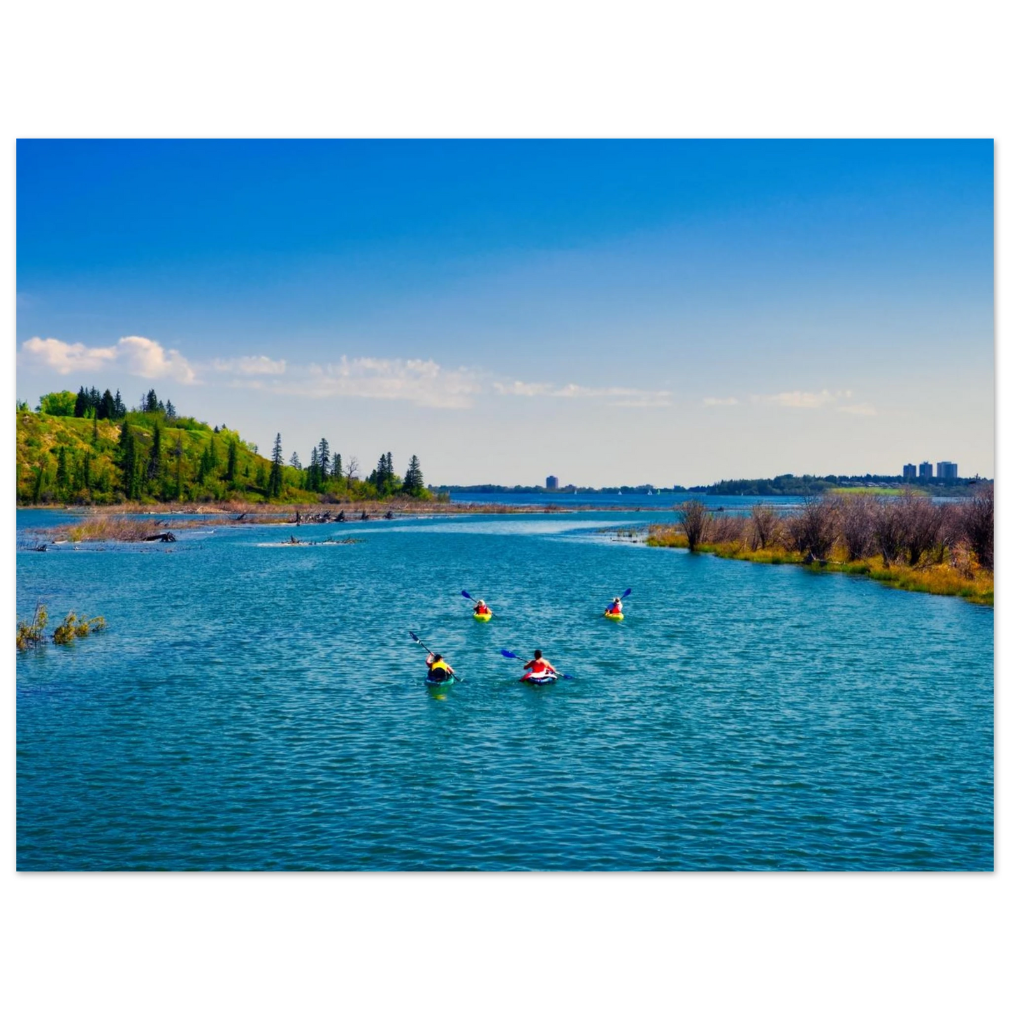 71d211ed-3854-4cf6-80ac-f2020e617300