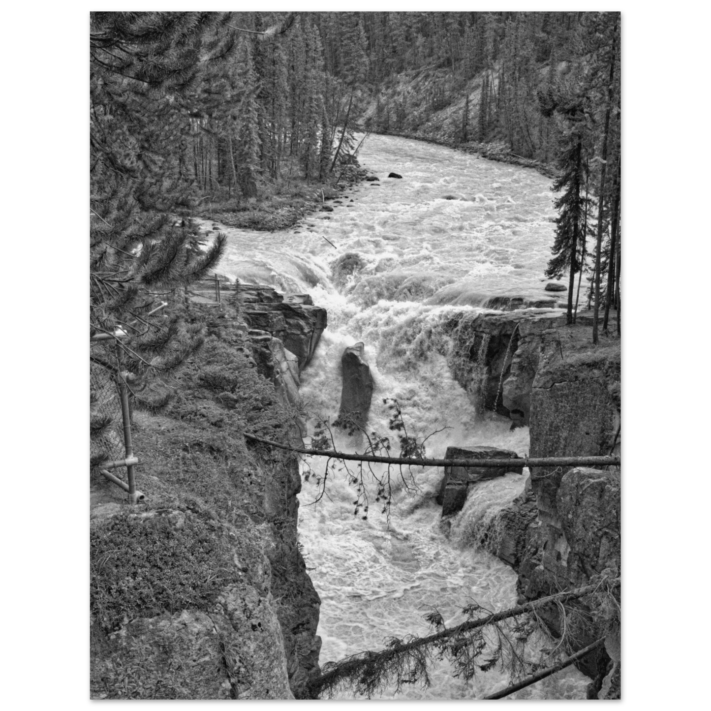 75172f49-9bb0-44b1-870f-3df857cc75f0