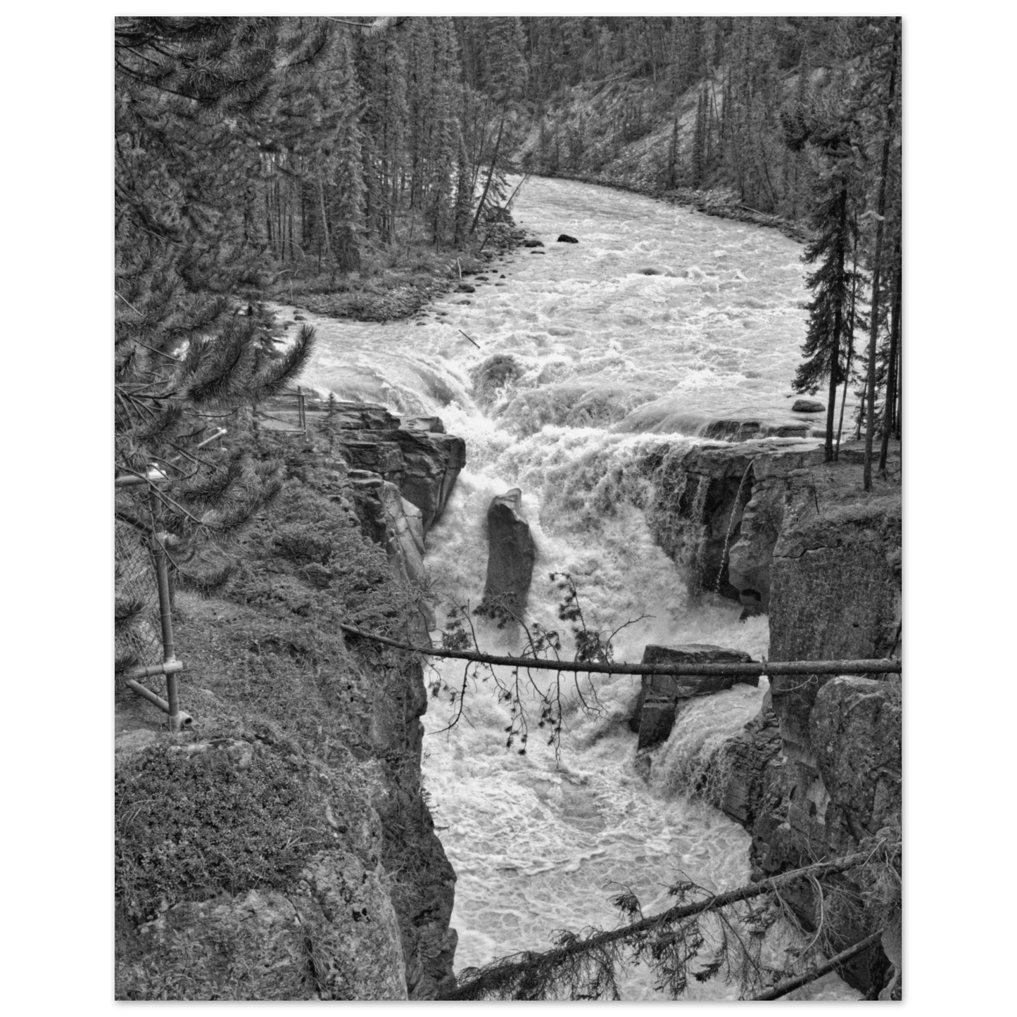 75912326-e138-4fb3-a11d-500f55743a9a