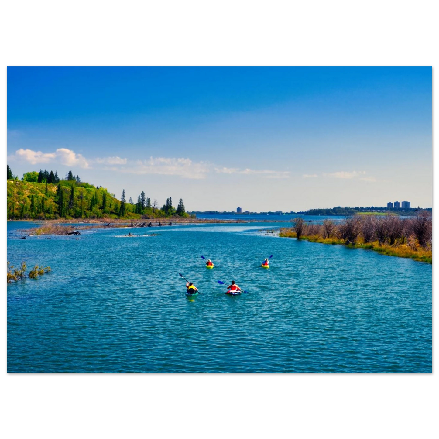 796741c7-92c8-4d88-8acf-9b001ee1e643