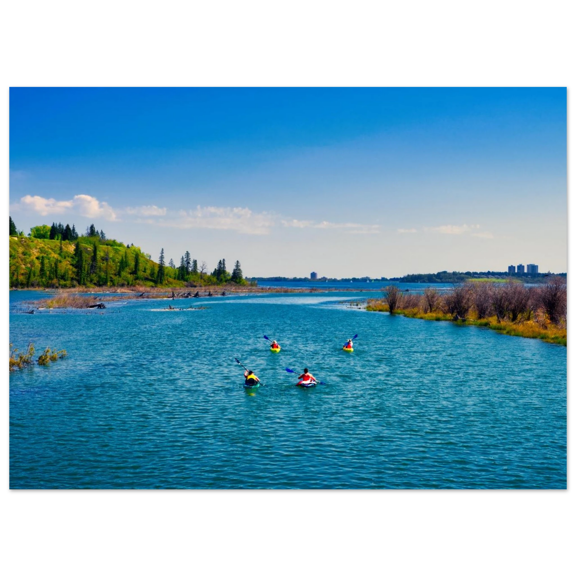 796741c7-92c8-4d88-8acf-9b001ee1e643