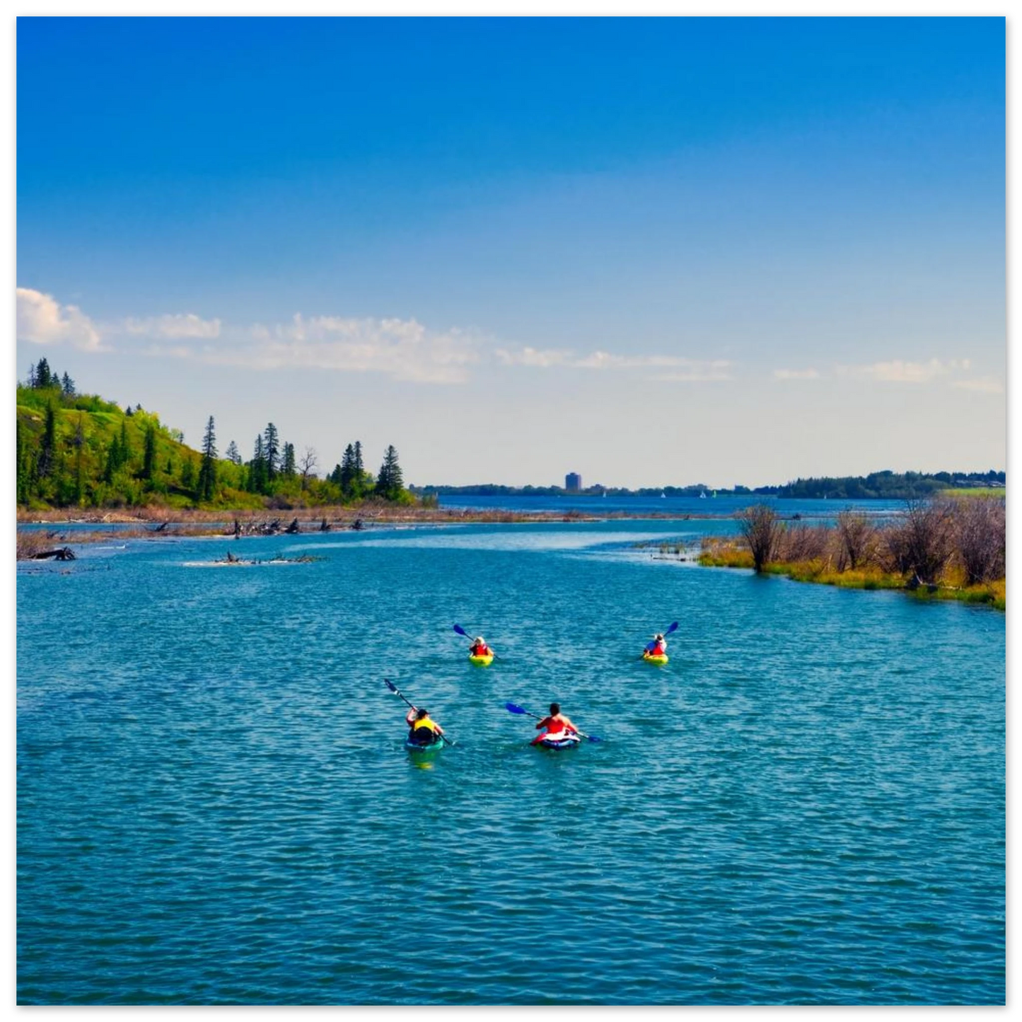 79787afa-caba-42e8-bba6-446e948f3353