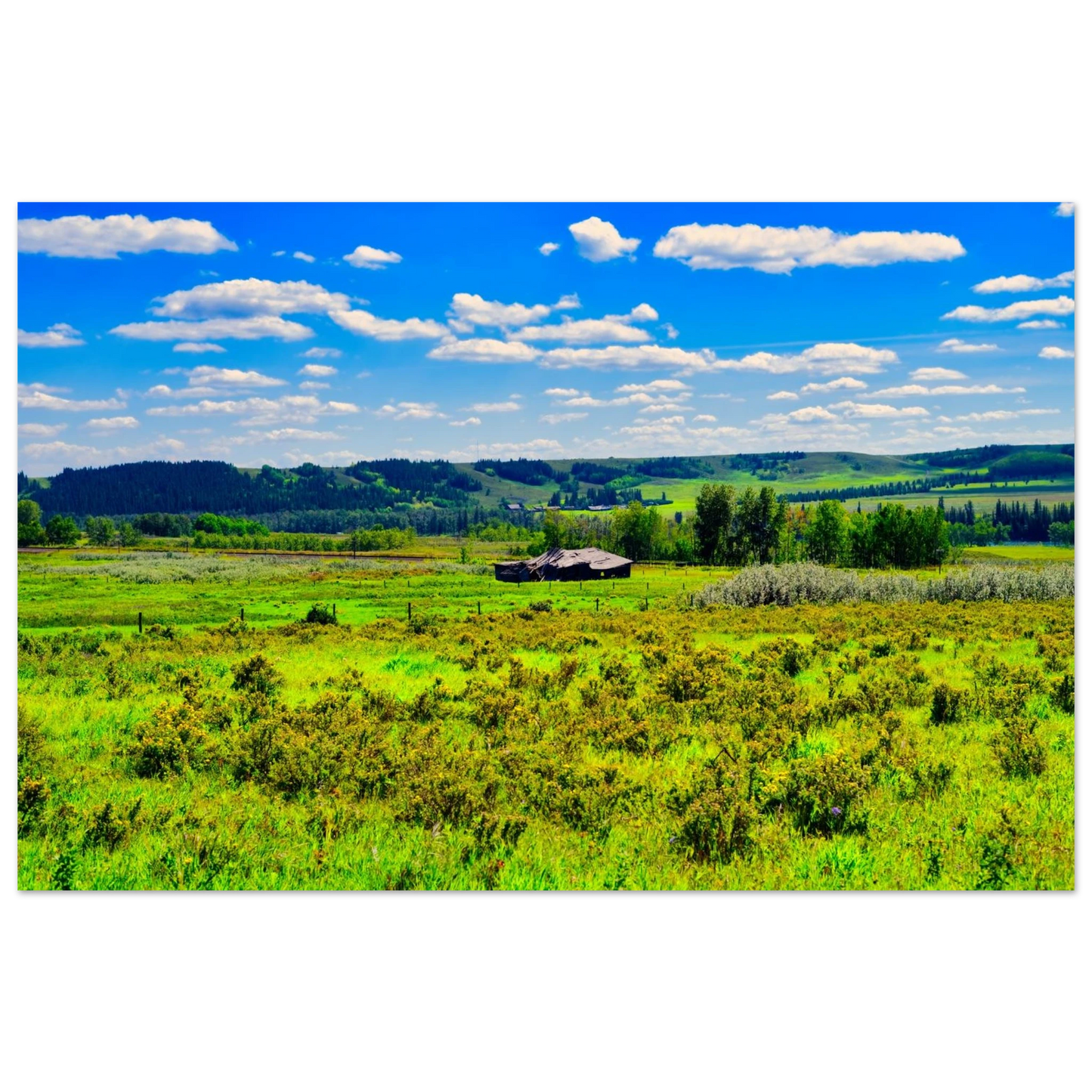 79b32f46-cc2c-4362-a710-3d4e253dc433