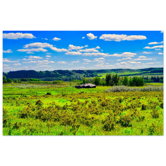 79b32f46-cc2c-4362-a710-3d4e253dc433