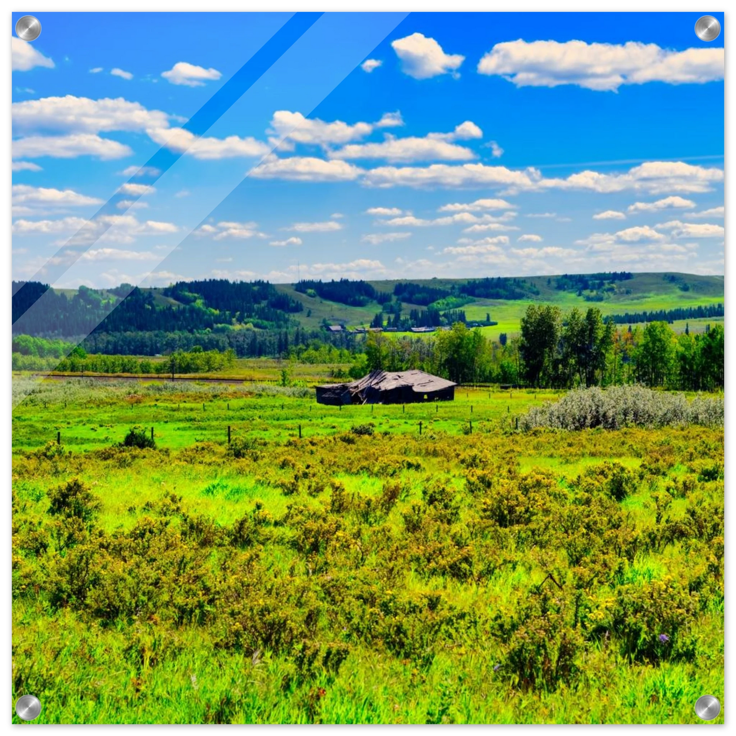 7d8737ec-cca6-4c70-87a9-c0d88579dc43