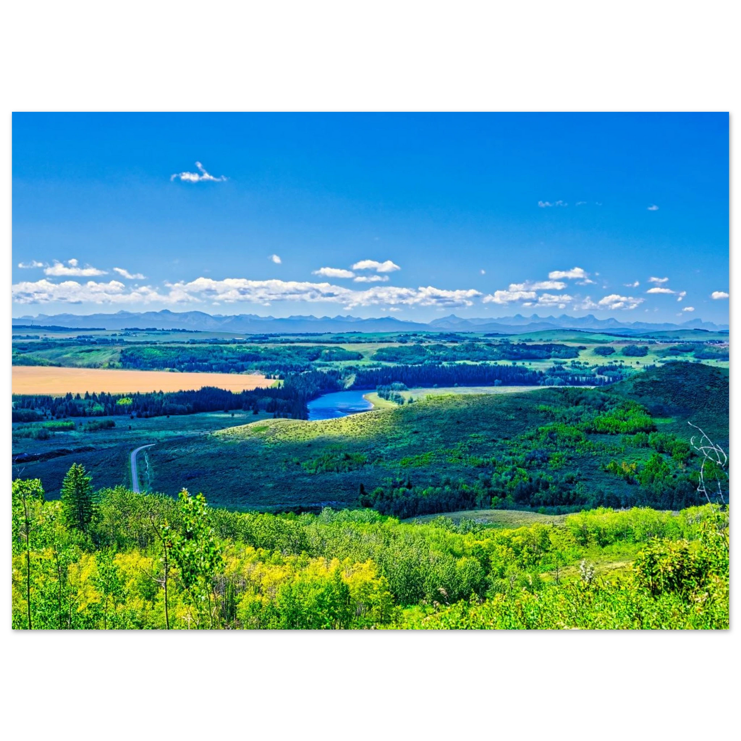 813f76f0-bd18-4885-b468-f8d90e8792bd