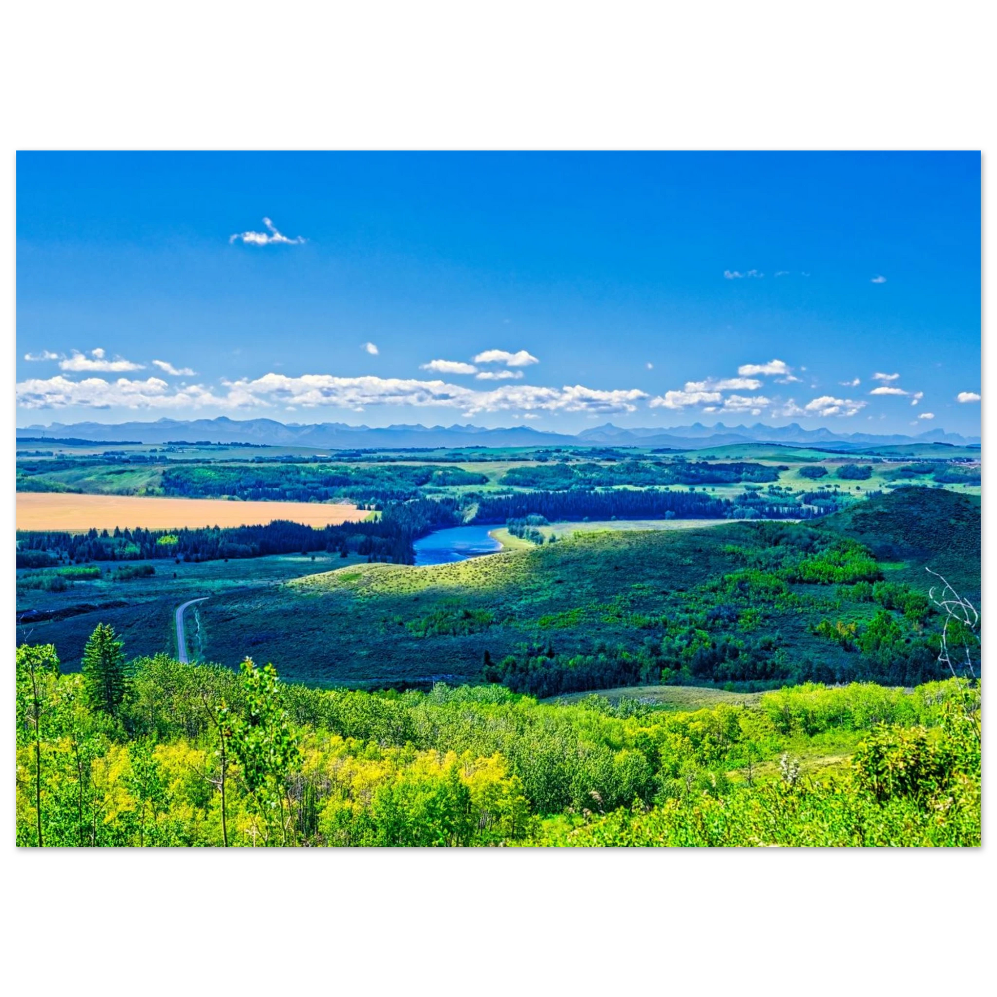 813f76f0-bd18-4885-b468-f8d90e8792bd