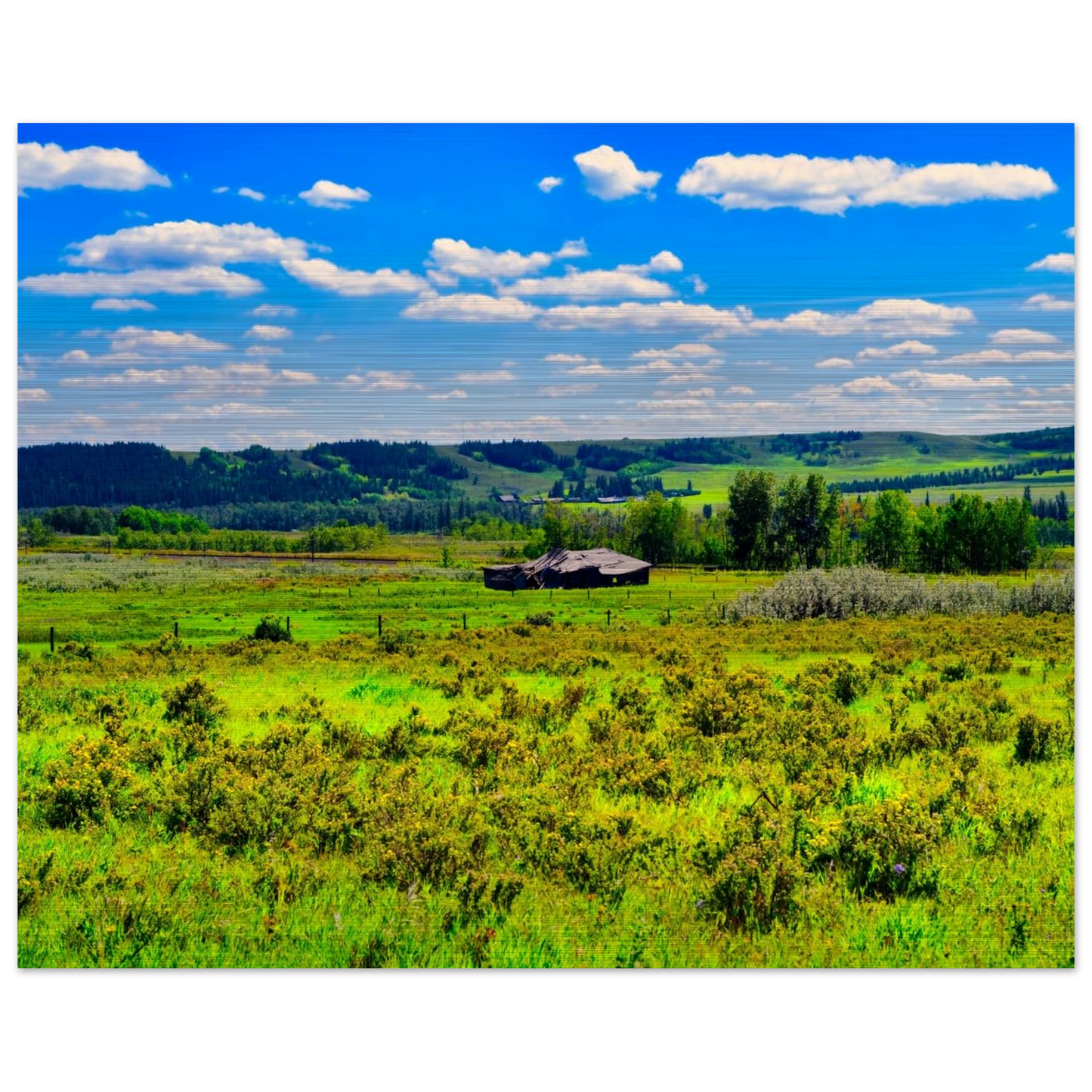 81ee06bd-6ec9-4008-825d-5445754679df