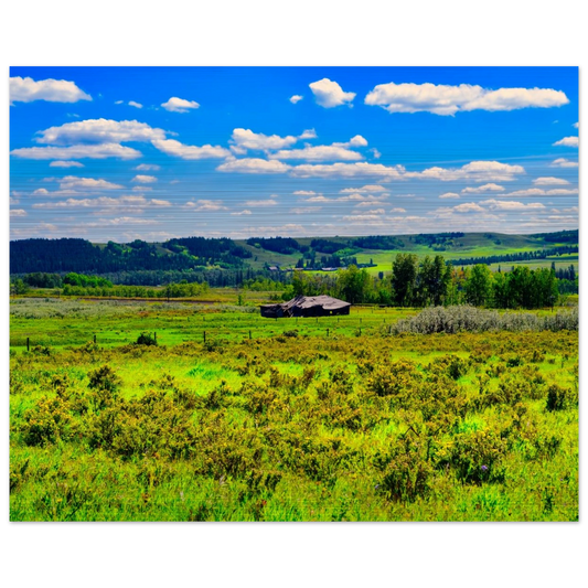 81ee06bd-6ec9-4008-825d-5445754679df