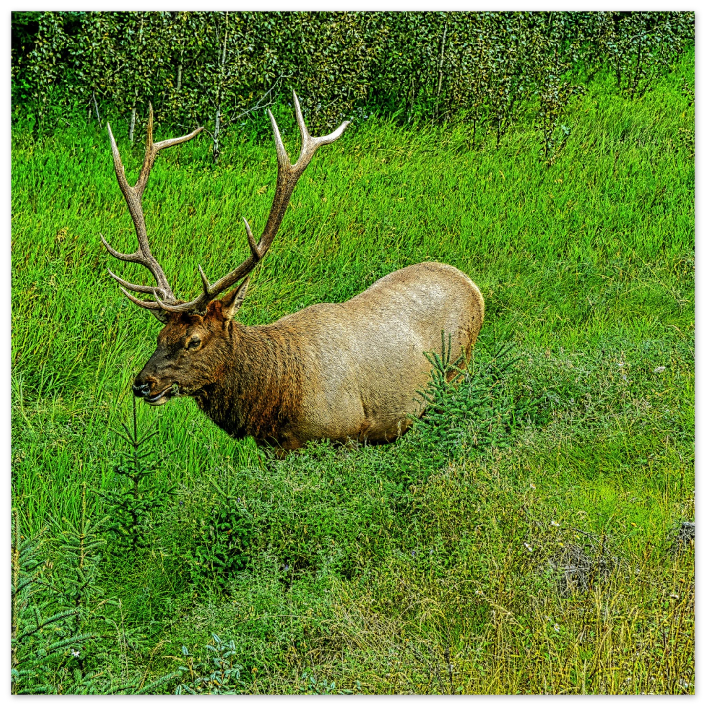 83067a19-cecf-497c-b023-25299ad7152e