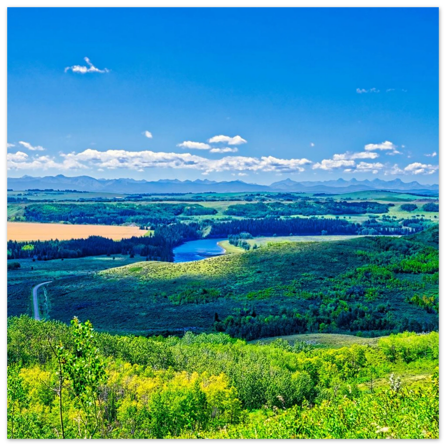 837a2b33-9a98-476a-8669-fd8428beaea4