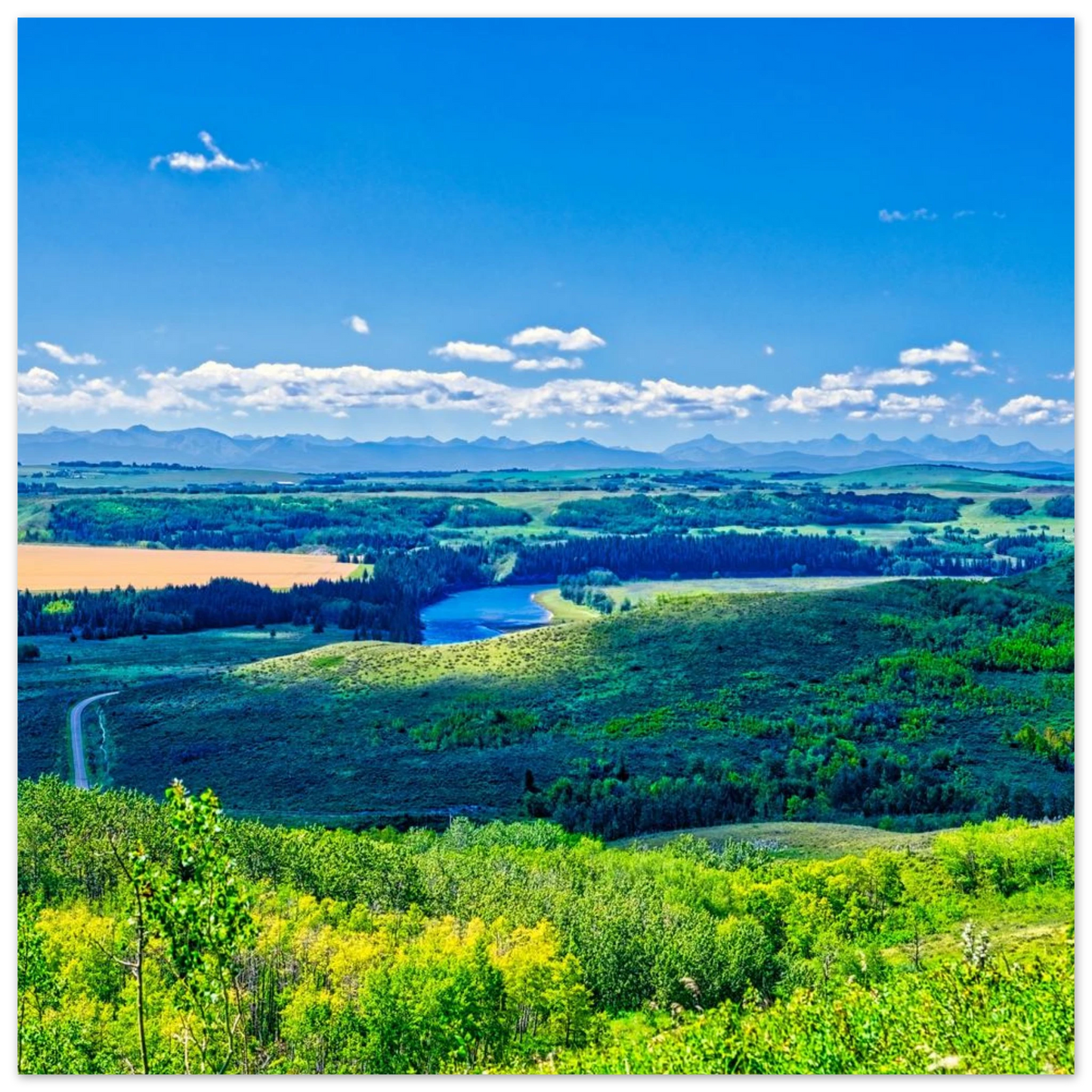 838667e6-f225-437d-aac0-682e60857fe9