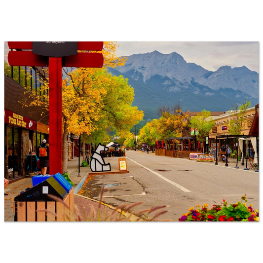 83cf7357-dc7e-44ba-8098-c733e59d9a0b