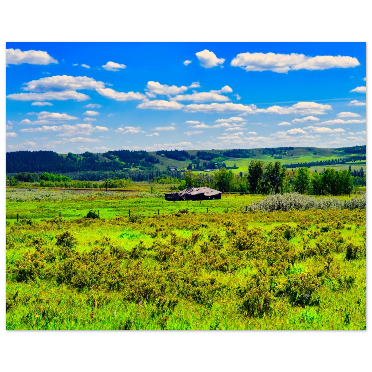 87101054-21cc-45bc-bb48-605ed773088c