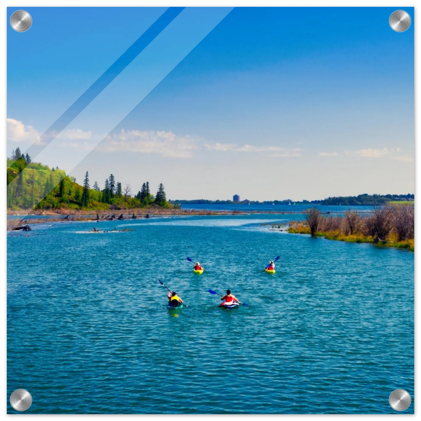 8bf38f58-cc3d-4583-b7cc-f6cc0f4ee9c8