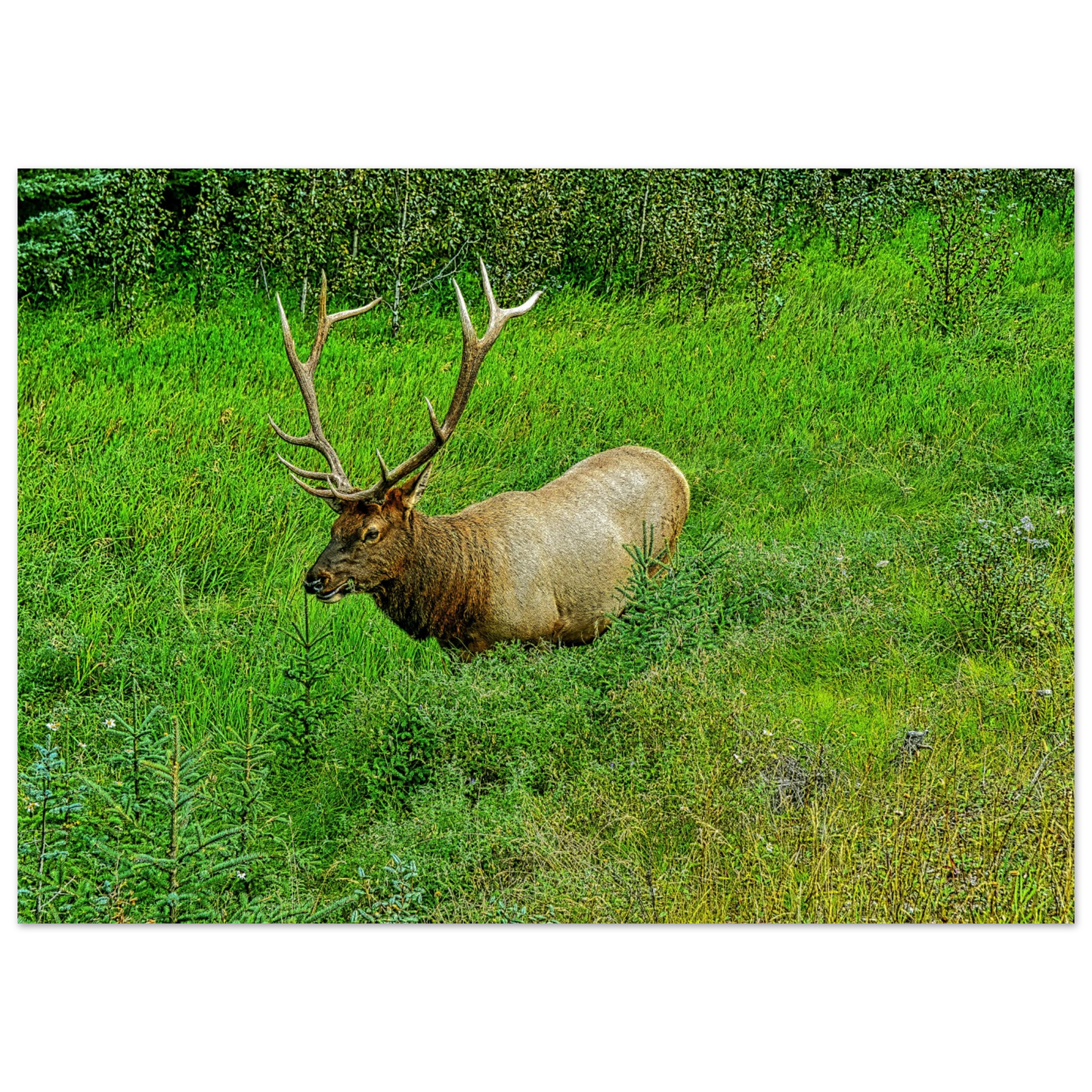 8db214cd-3051-4e53-8571-45213c9703cb