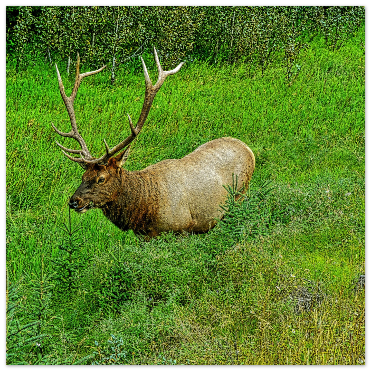 8df3d345-c71d-41c3-a39e-562eb0a0954b