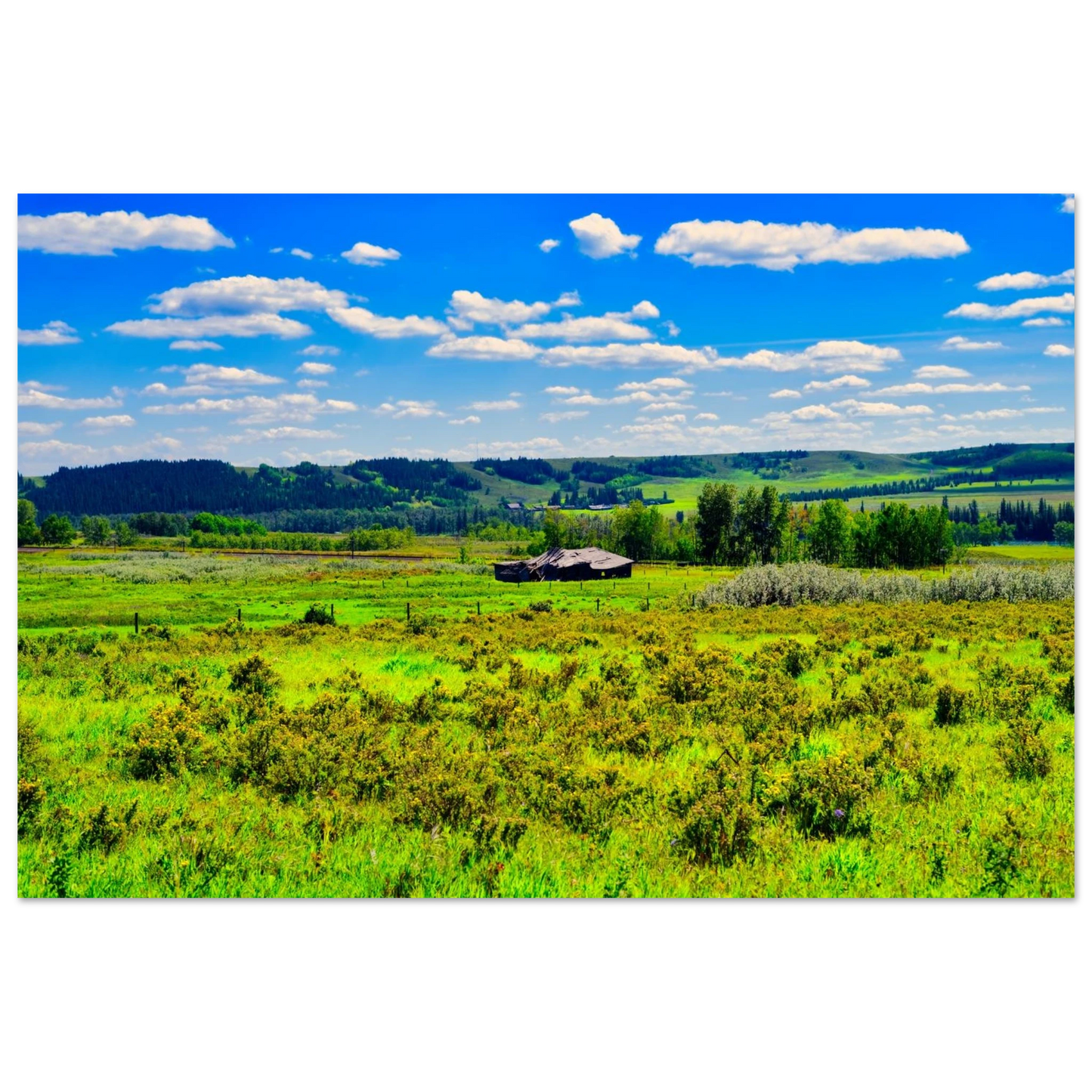 901e1d57-d3b7-4b55-a667-39bbafb401e6