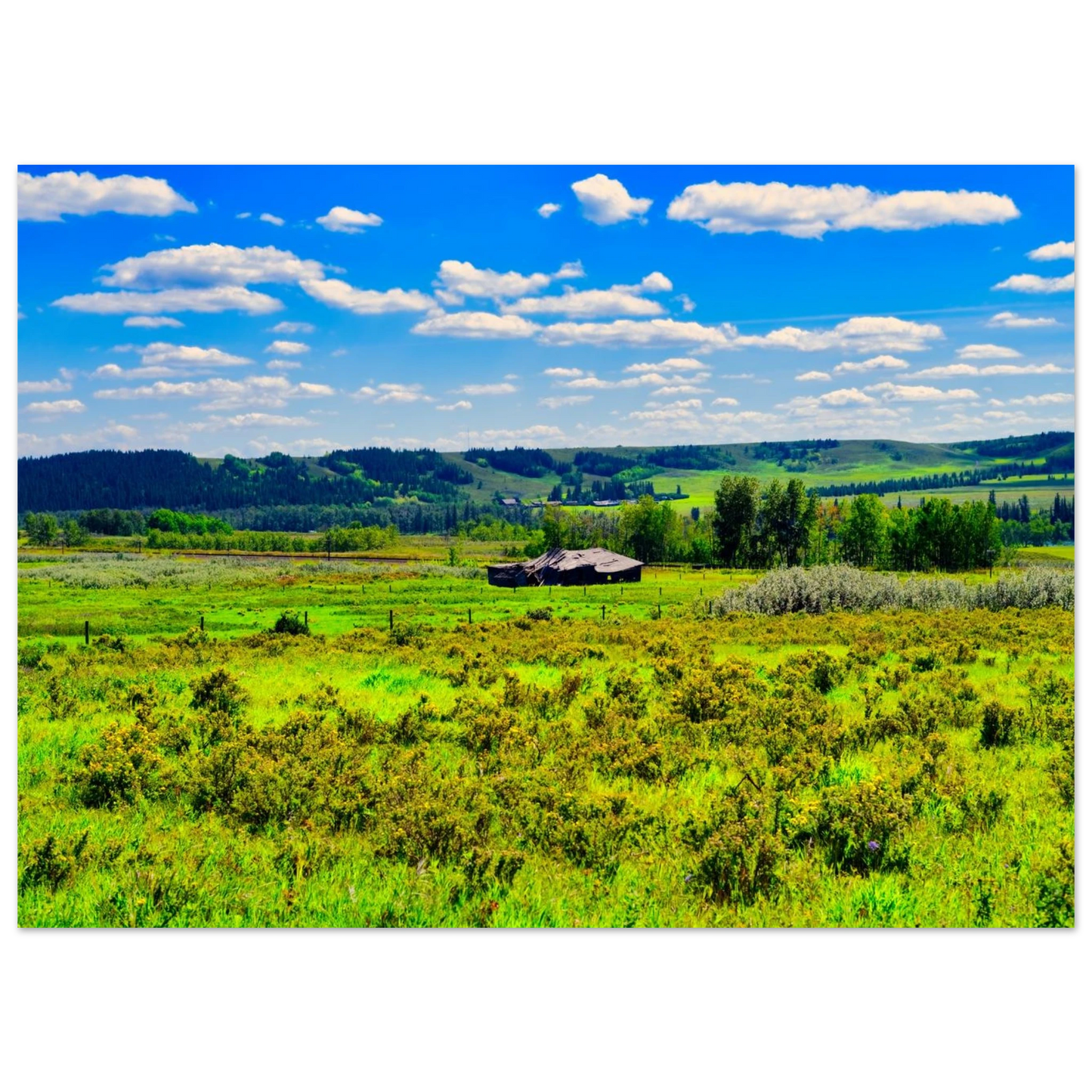 904929a3-2d30-46ac-84a3-804ade498ff3