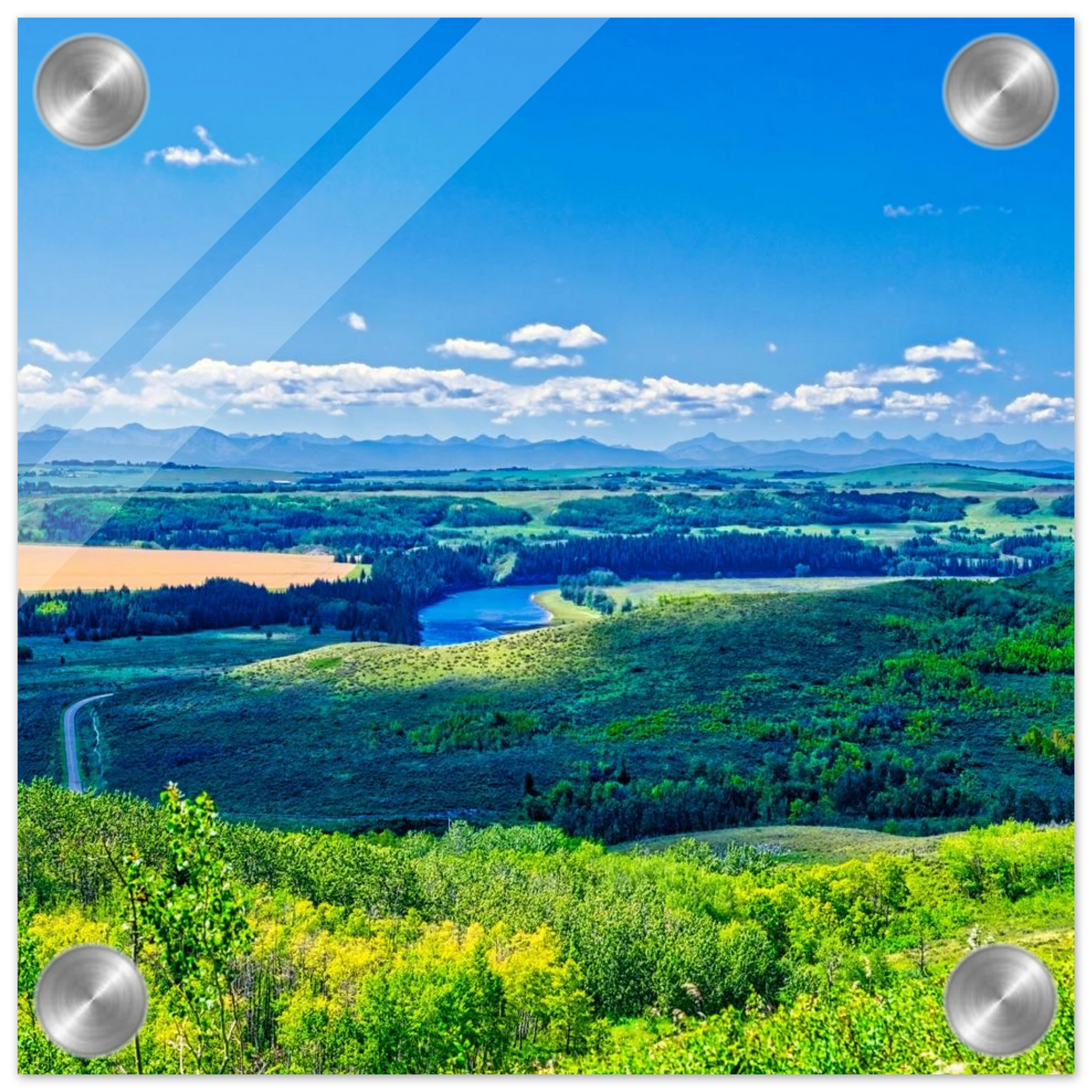 909fa5b2-5b9f-4251-a63e-d574e7e9f581