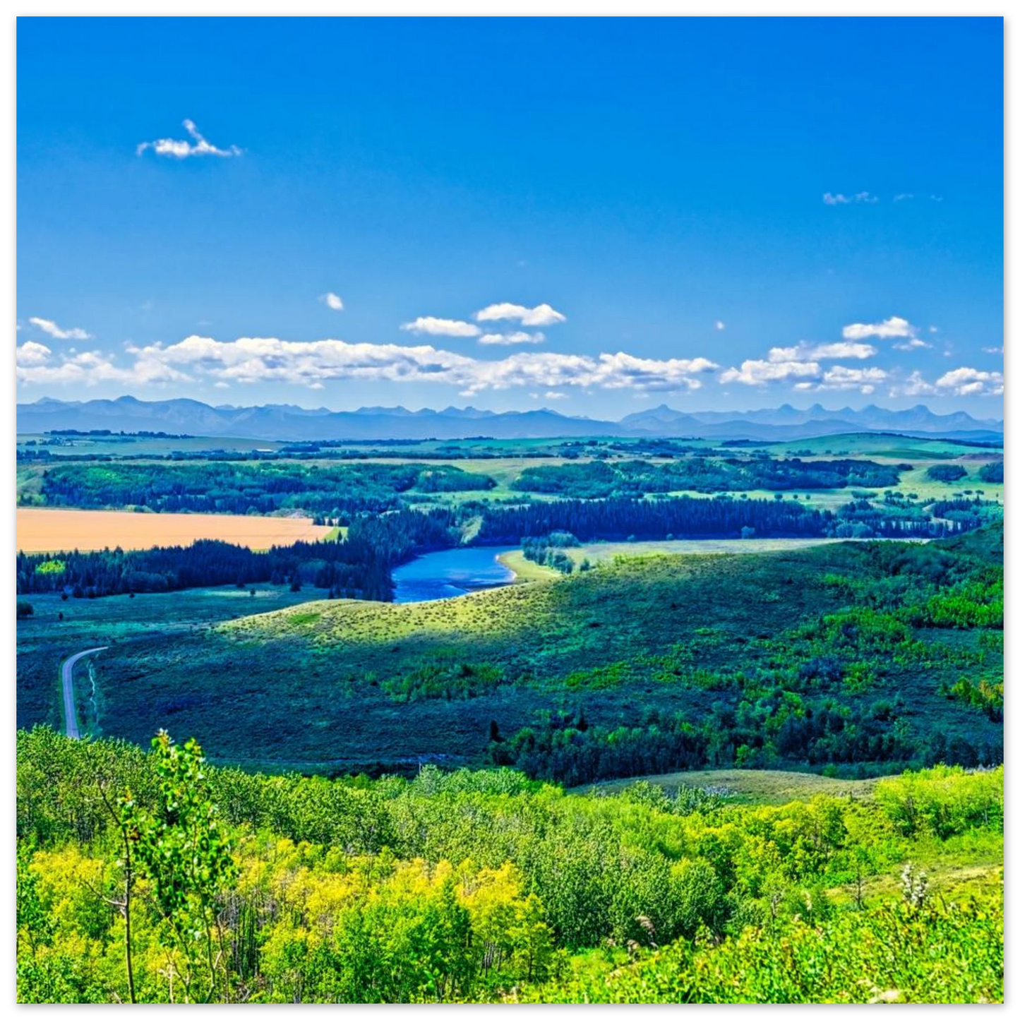 90e0b4fc-44c6-4669-9f92-d040e52e75bb