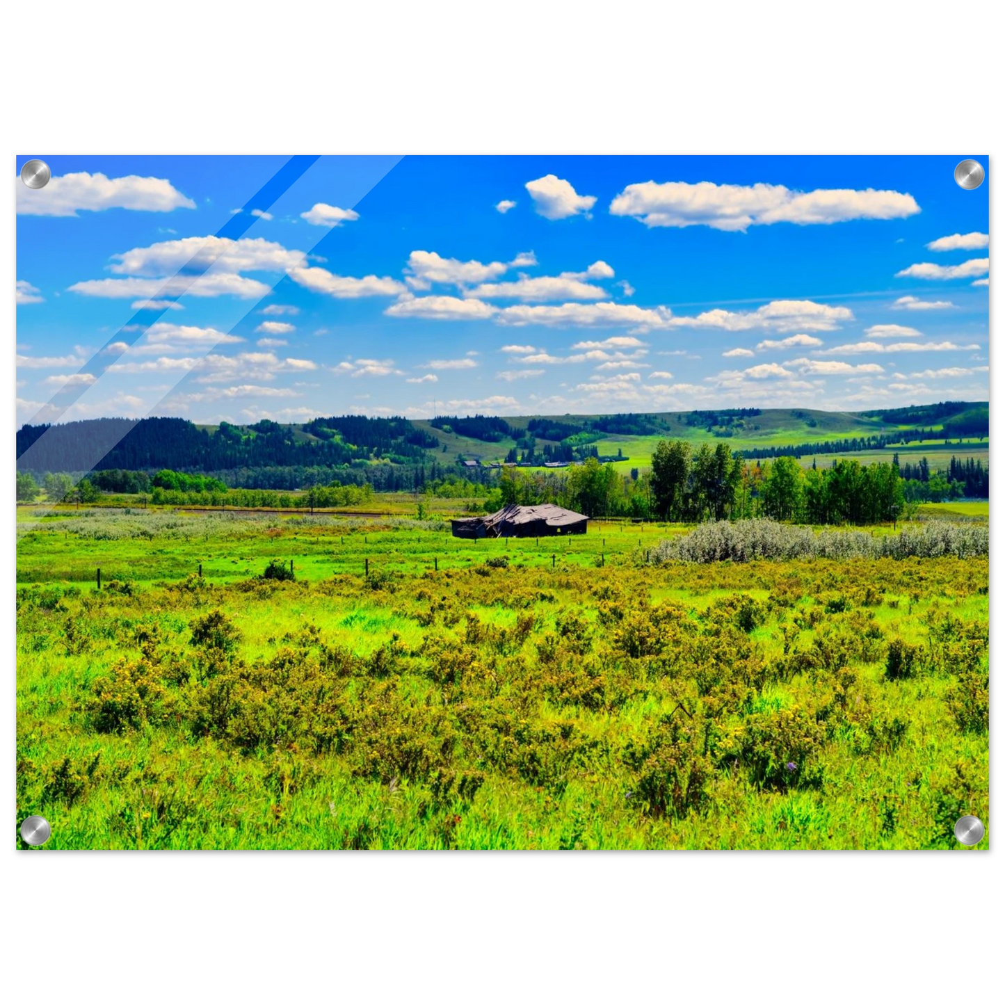 920984fd-9d37-482c-9aaa-e2e946863369