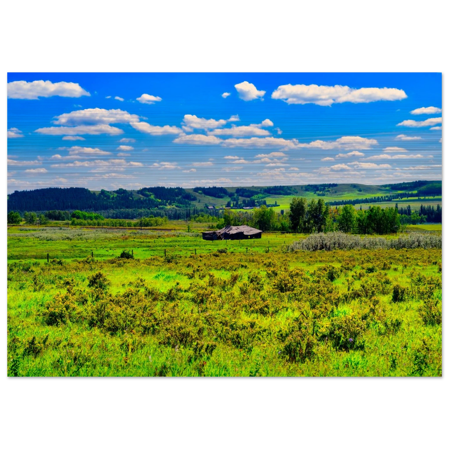 951e4f70-466f-487a-96ef-686905cc3786