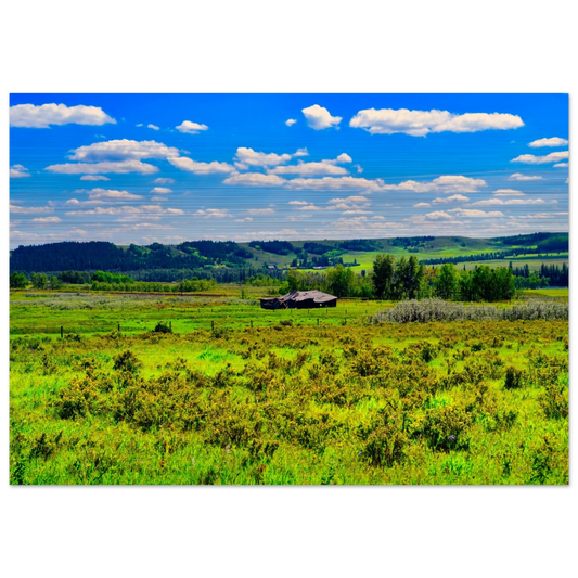 951e4f70-466f-487a-96ef-686905cc3786