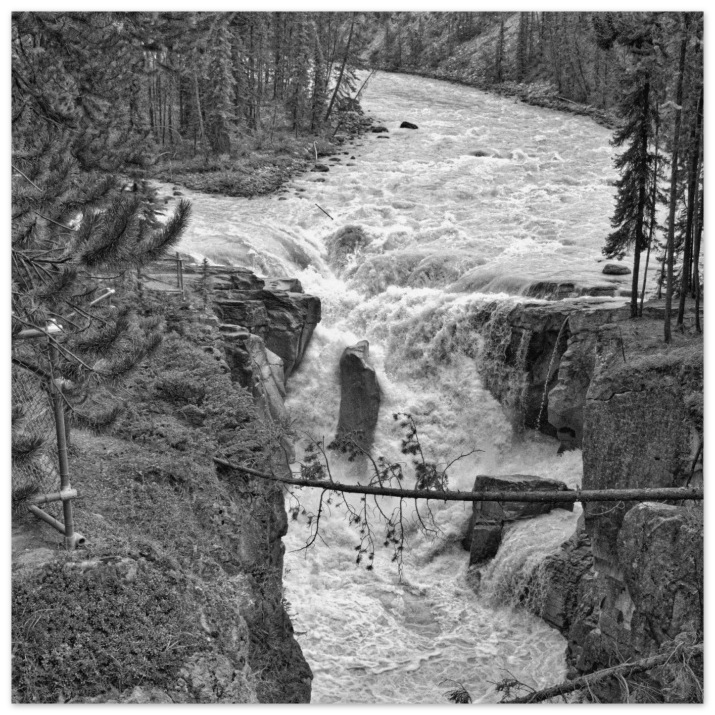 9630773e-99ea-4421-936c-d08a2c6be292