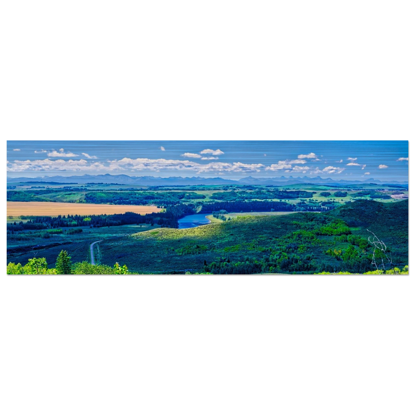 97f3c93b-e47c-4985-8822-9d4eb736ce5a