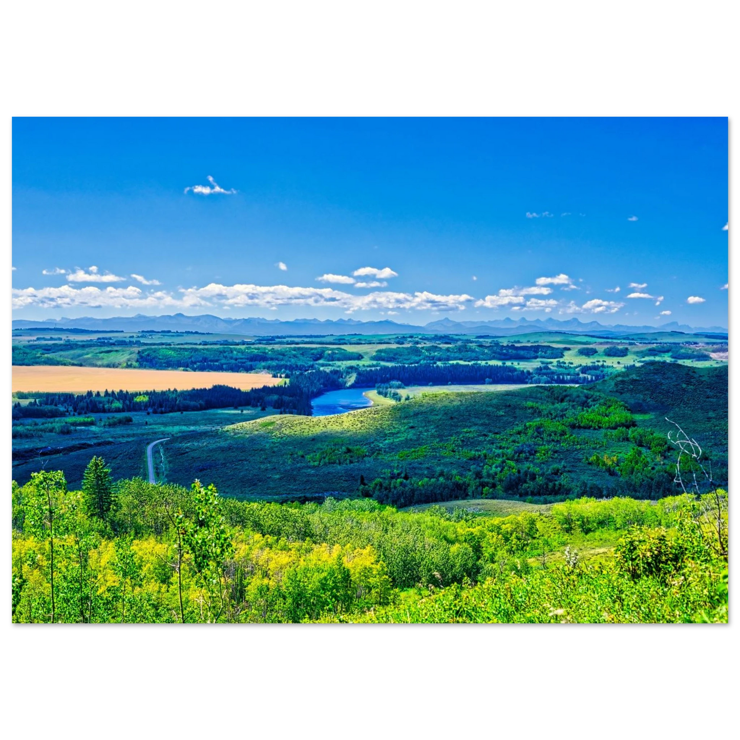 982ac8c4-d7d5-42ef-a435-8f6a4af366b6