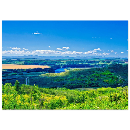 982ac8c4-d7d5-42ef-a435-8f6a4af366b6